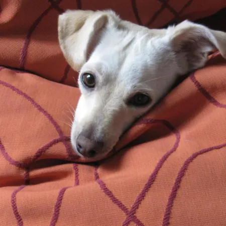 Couette-café Art'è Locarno